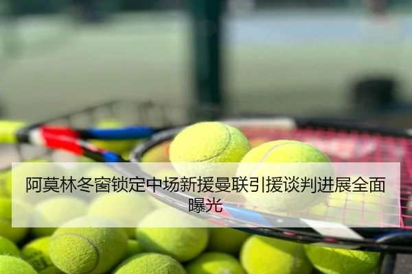 阿莫林冬窗锁定中场新援曼联引援谈判进展全面曝光